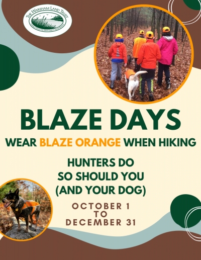 Blaze Days flyer
