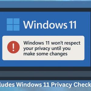 Windows 11 Privacy
