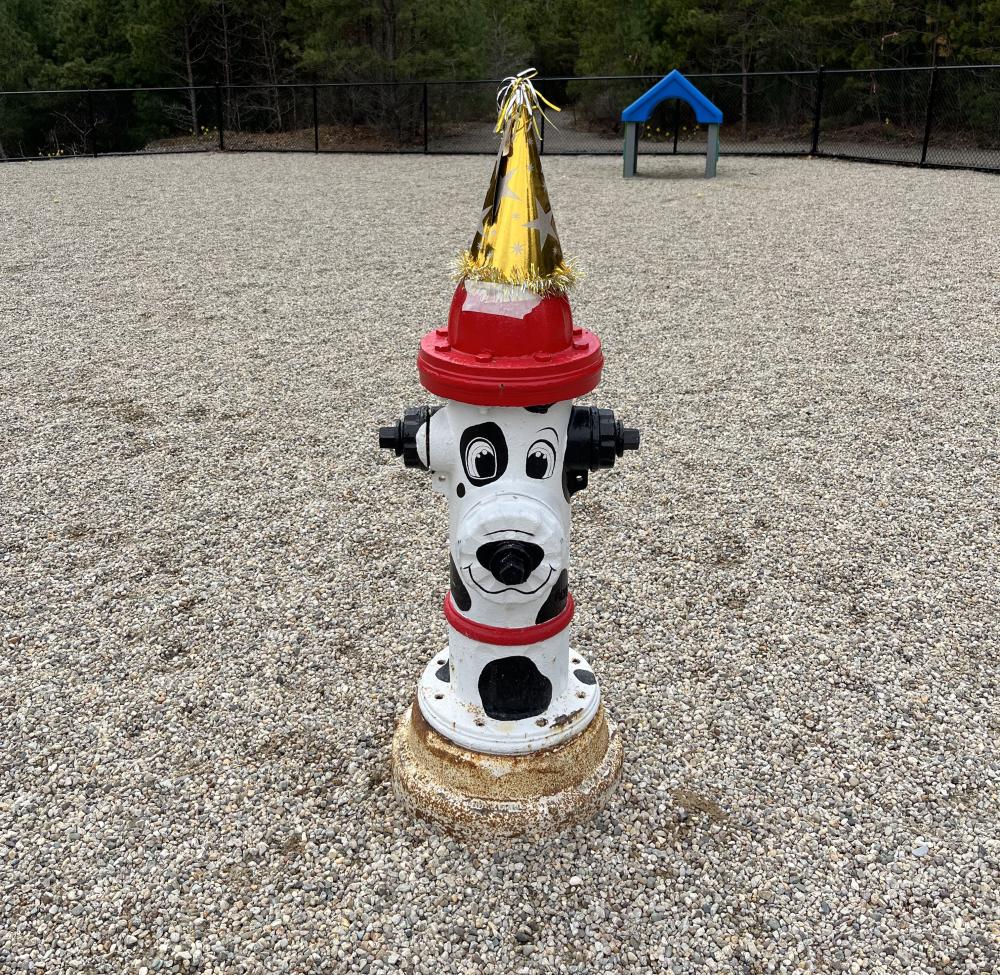Park mascot Wayne at the 2025 PAWty. Photo source: Sally Morrison