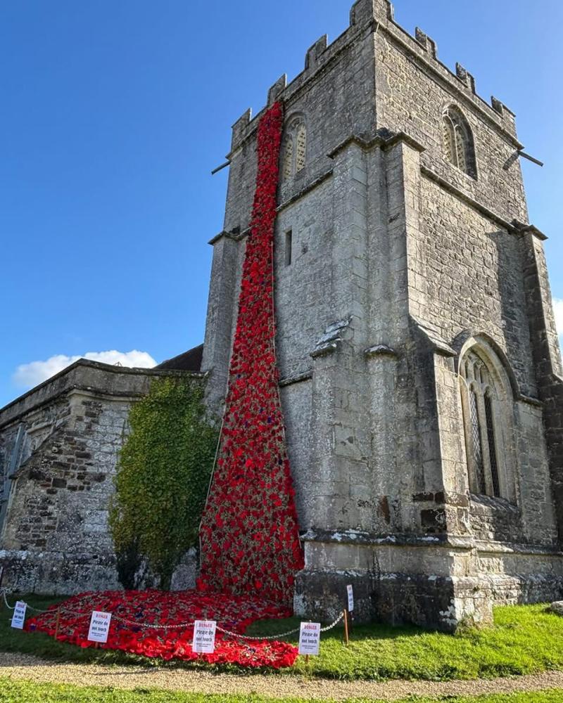 Poppies in Wareham, United Kingdom. Photo source: Claire Smith
