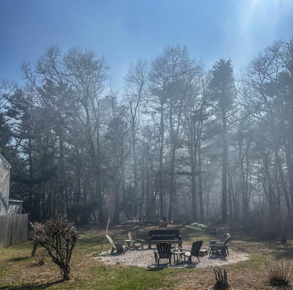 This April, an odor control method by the sewer plant filled the nearby neighborhood with smoke. Photo source: Sally Morrison