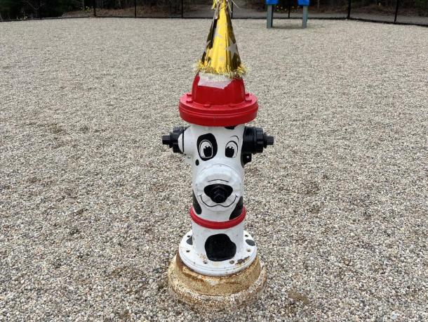 Park mascot Wayne at the 2025 PAWty. Photo source: Sally Morrison