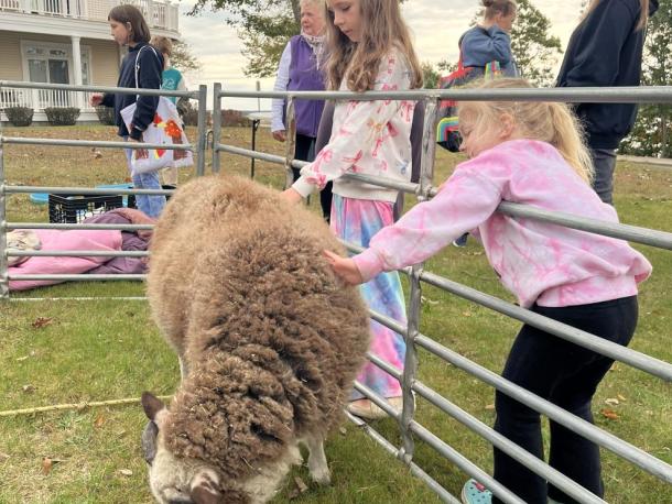 Children pet one of the rescue animals from Little Patch of Heaven animal sanctuary at the Harvest Moon festival Oct. 11. Photos by Tanvi Kulkarni