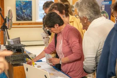 Wareham resident Michele Sabourin attempts to match shells to their species. none