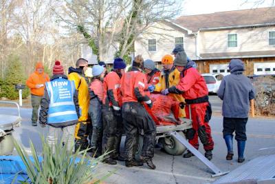 The team gathered to lift one of the two dolphins while Wareham police maintained traffic.