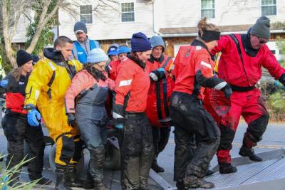 The team lifts the first dolphin inside the rescue truck.