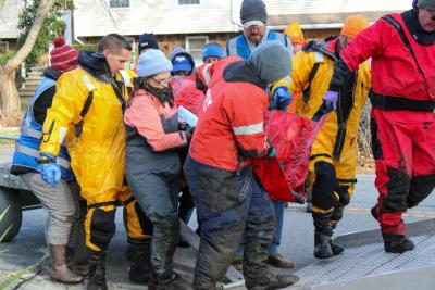 The second dolphin is carried into the truck to see the on-hand vet.