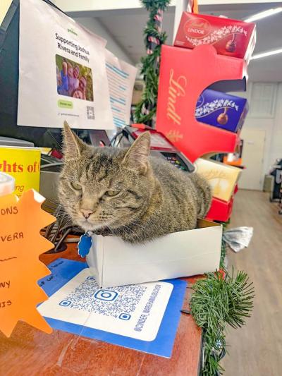 Cinder greets guests at the register.