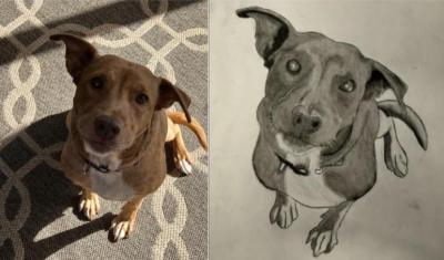 Phenoix who was adopted recently, drawn by  Ajani Rakotoarimanitra-Bunting.