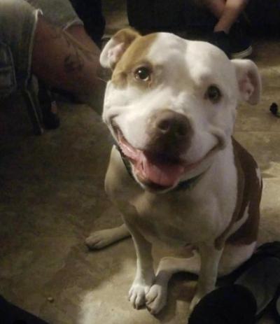 Estia who was at Santoro's side for 6 years.