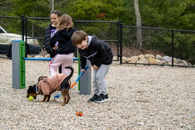 Grayson, 6, giggles with a tennis ball launcher in hand at the Wareham Dog Park on Saturday, April 18. Photos by Grace Roche