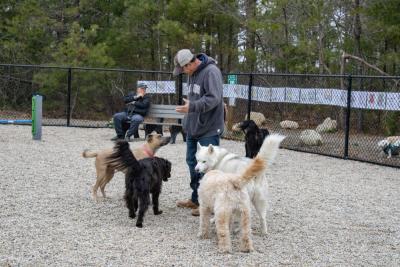 Dogs gather around Robert Ransom, waiting for him to toss a frisbee. 