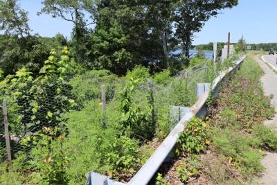 Fencing put up on the side of the bridge