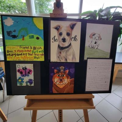 Some of the winning entries.