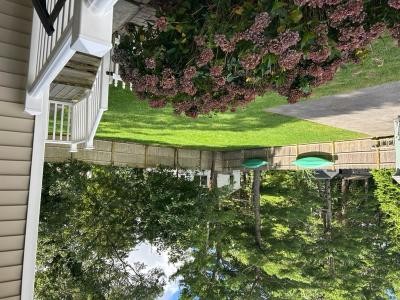 side yard