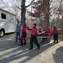The team wheels the pair of dolphins toward the rescue truck.