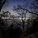 Onset through the trees.