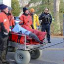 Two dolphins were placed next to each other on the wagon.