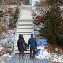 The decorating and snow clearing took staff three hours.