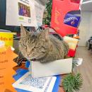 Cinder greets guests at the register.
