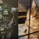 Kiko the cat who is energetic and funny, drawn by Aniya Chavis. Photos source: Wareham High School