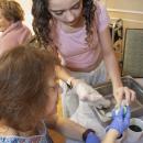 Resident Joan and student Aliyah Nutter decorate together.