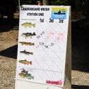 The fishing leaderboard.