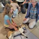 Beth Schweitzer, right, brought her comfort dog, Dickens, to the awards ceremony at the Gleason Family YMCA.