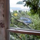 From inside the house, Mastria could see her car covered in branches.
