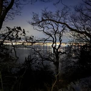 Onset through the trees.