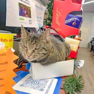 Cinder greets guests at the register.