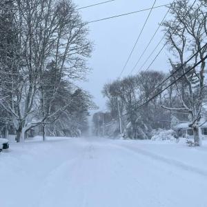 Main Street in Wareham. Photo source: Katie Moulding