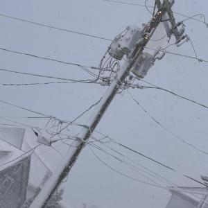 Wires spark on a utility pole on Second Street. Photo source: Nicole Robbins