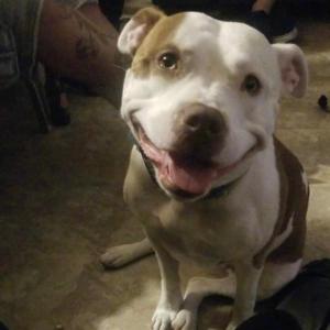 Estia who was at Santoro's side for 6 years.