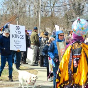 Protestors lined the street at the Saturday, March 28 "No Kings" protest. Photos by Grace Roche