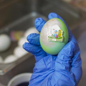 One egg from the event.