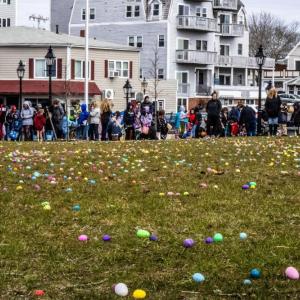 The thousands of eggs made Bayview all the more colorful.