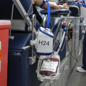 Donors laid on beds inside the bloodmobile as they filled bags of blood for patients at Boston Children's Hospital. 