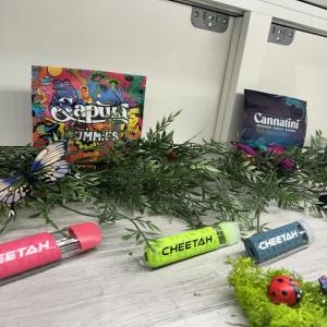 One of many cases in the shop with products on display.