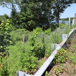 Fencing put up on the side of the bridge