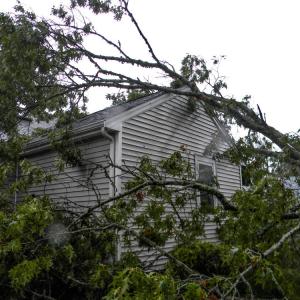The tree fell onto Susan Mastria's Woodside Avenue home just before 3 a.m. on Saturday, Sept. 26. Photos by Christian Uva