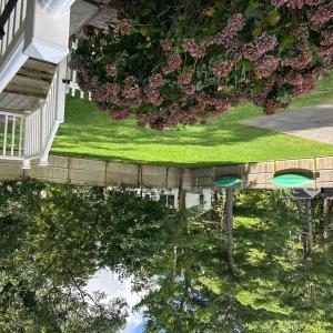 side yard