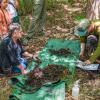 BioBlitz participants took part in a soil classification on Saturday, Aug. 1. Photo source: Tom Goetz