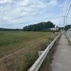 The Buzzards Bay Coalition will soon begin restoration work on the Beaver Dam Creek, which flows through the 100 acres of bog land the group purchased. Photo source: Buzzard's Bay Coalition